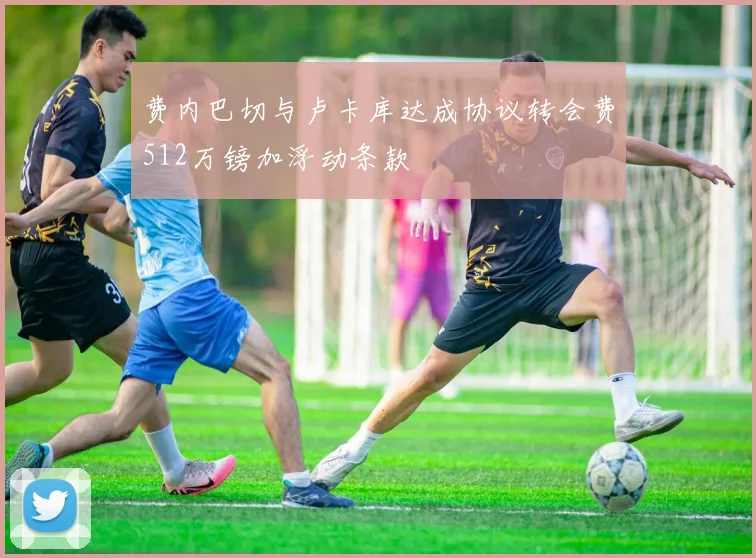 费内巴切与卢卡库达成协议转会费512万镑加浮动条款